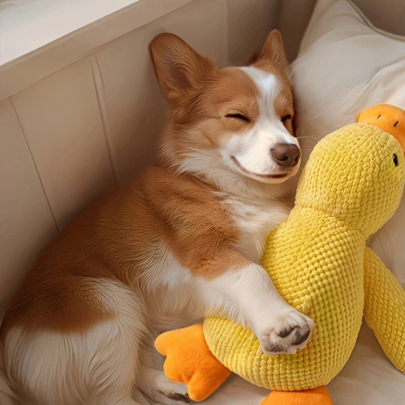 Dog Calming Duck, 2025 Yellow Duck Dog Toy, The Mellow Ducks Calming Pillow, Dogs Ducks Toy with Quacking Sound for Indoor Dogs