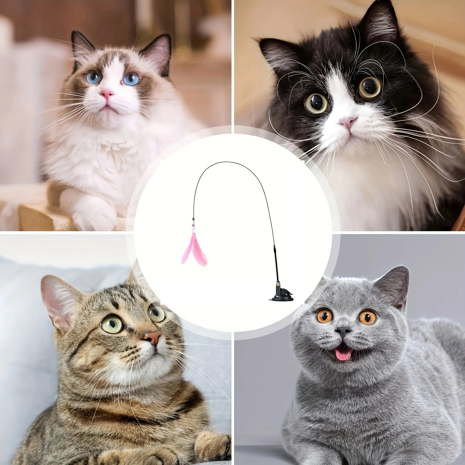 Bite-Resistant Cat Teaser Stick with Bell, Feather, and Long Rod - Fun and Interactive Cat Toy with Suction Cup Base